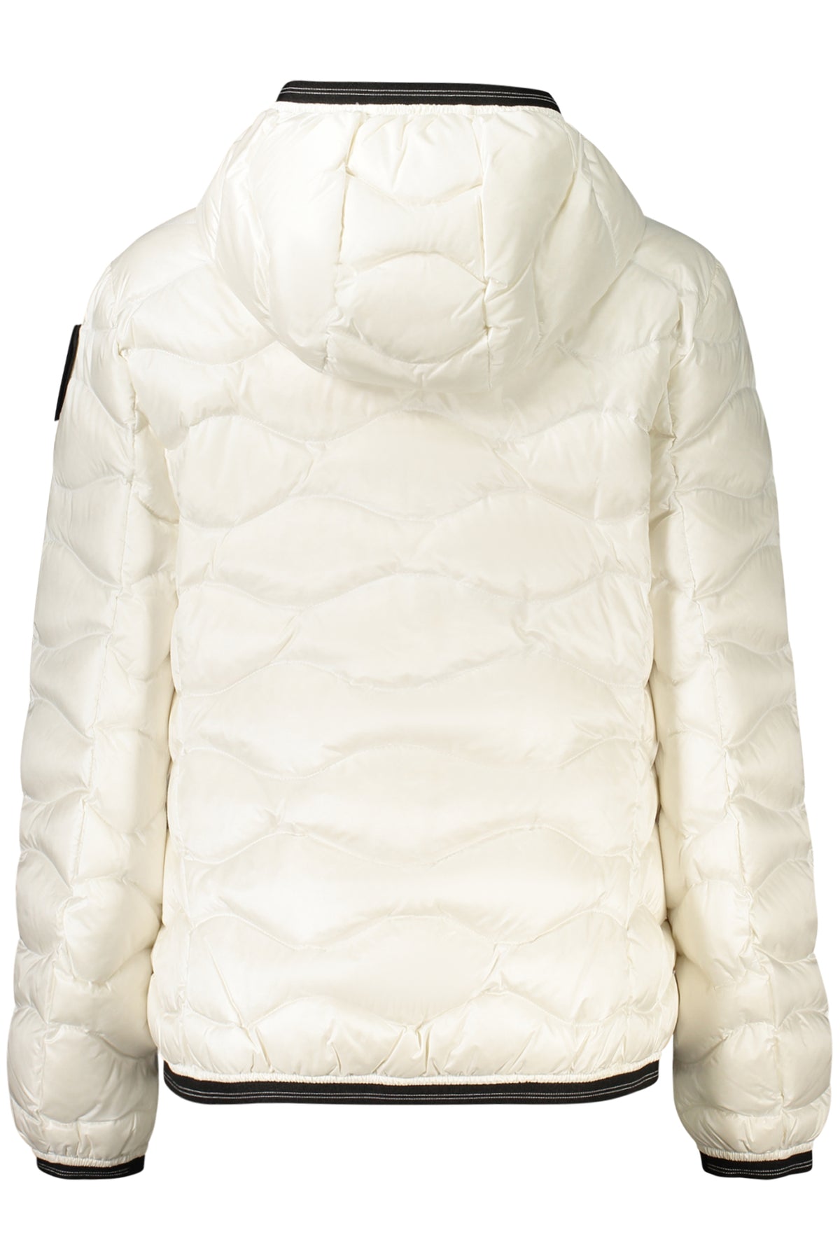 Giubbotto Blauer Bianco 26WBLDC03033