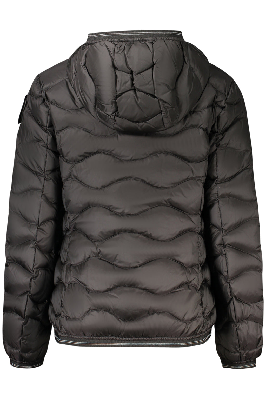 Giubbotto Blauer Nero 26WBLDC03033