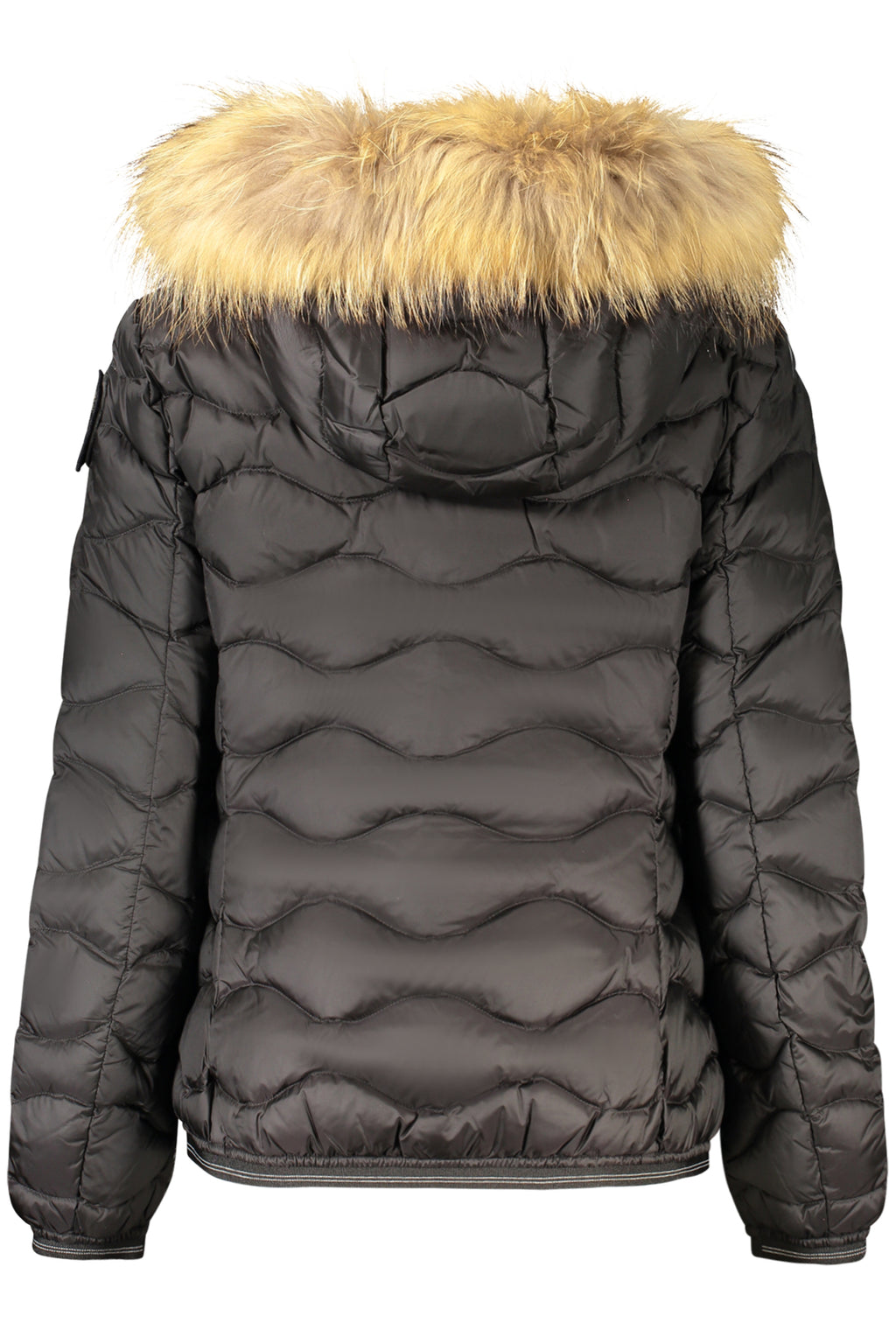Giubbotto Blauer Nero 26WBLDC03034