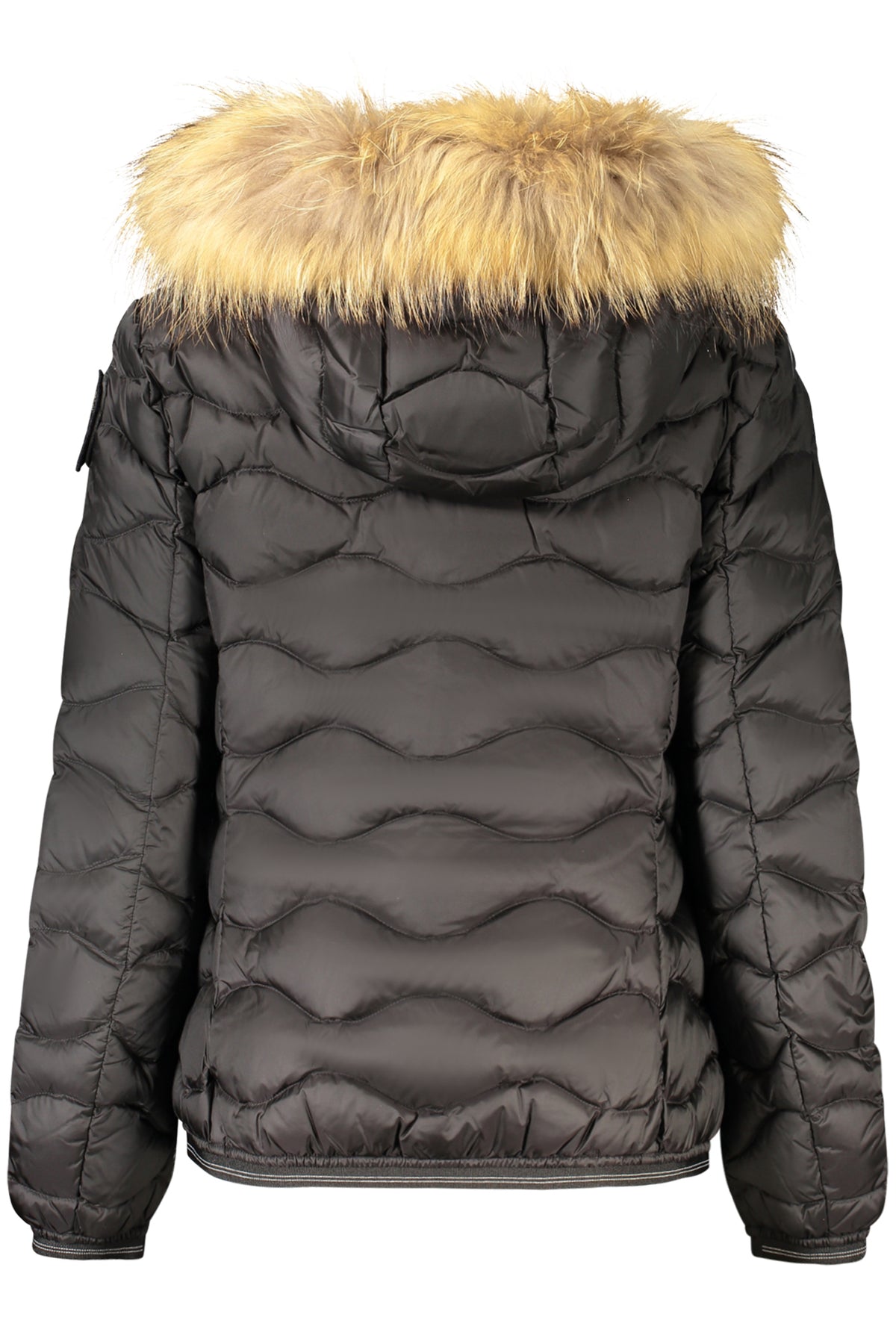 Giubbotto Blauer Nero 26WBLDC03034