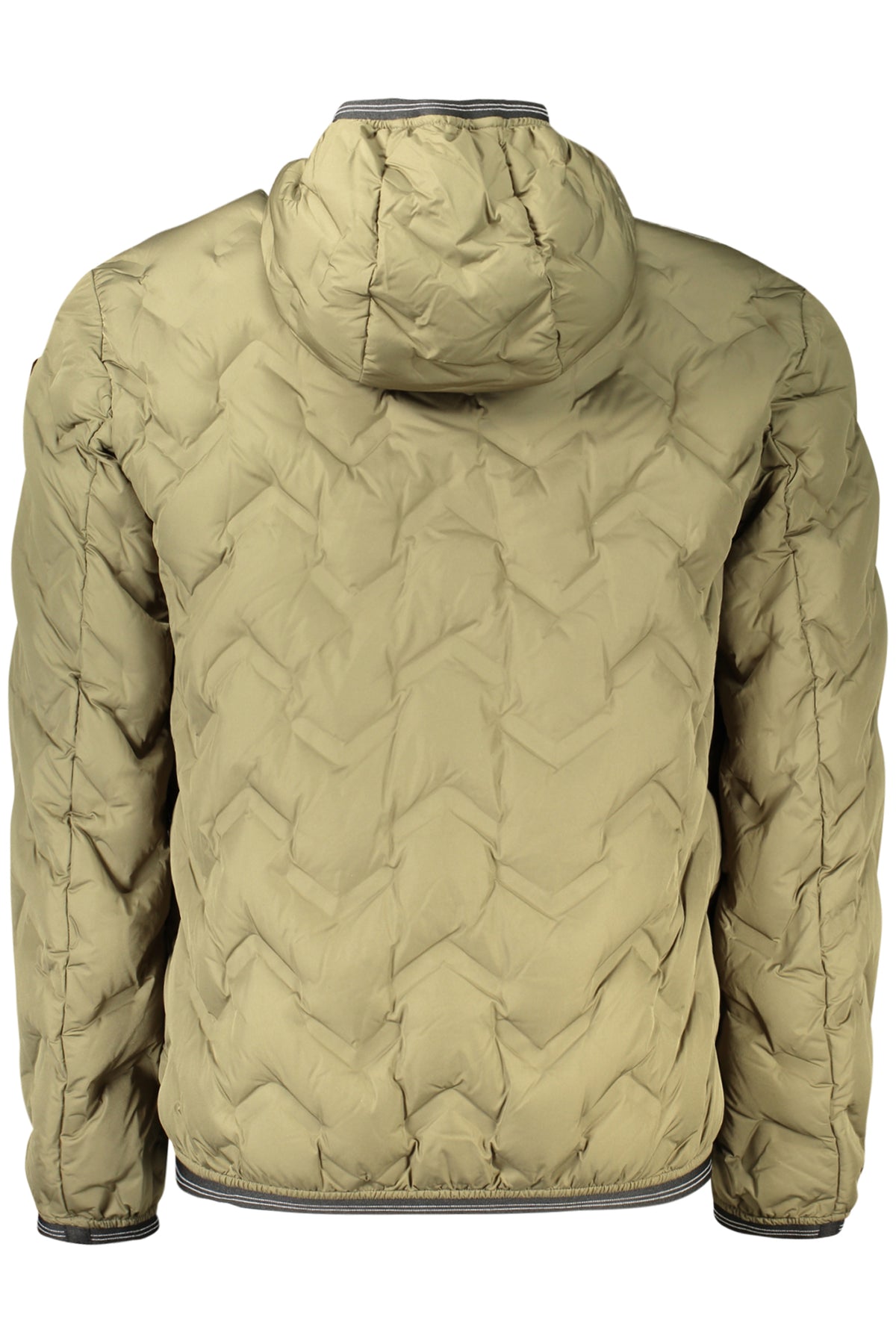 Giubbotto Blauer Apparel Verde 26WBLUC03233