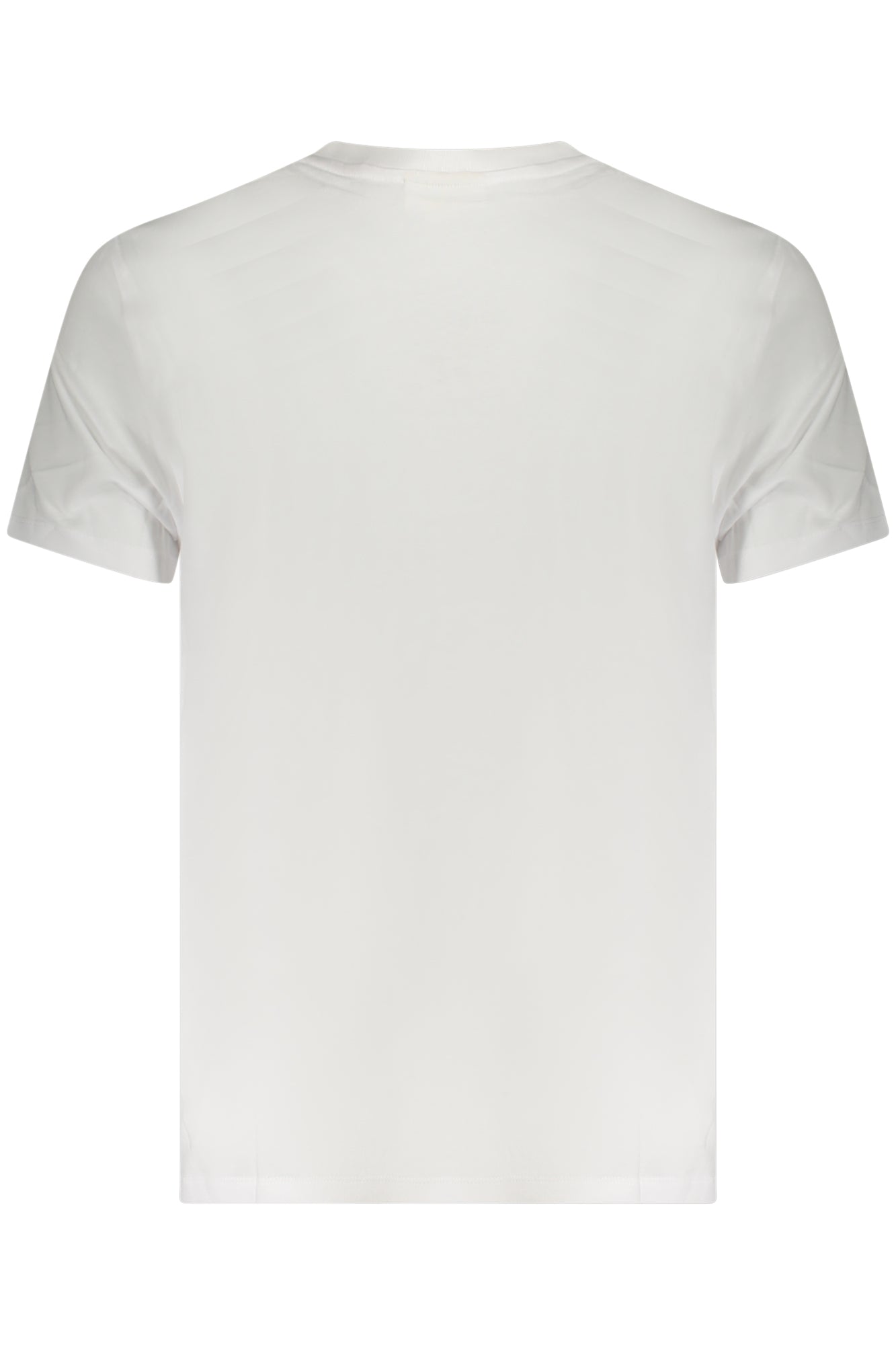 T-Shirt CALVIN KLEIN Bianco