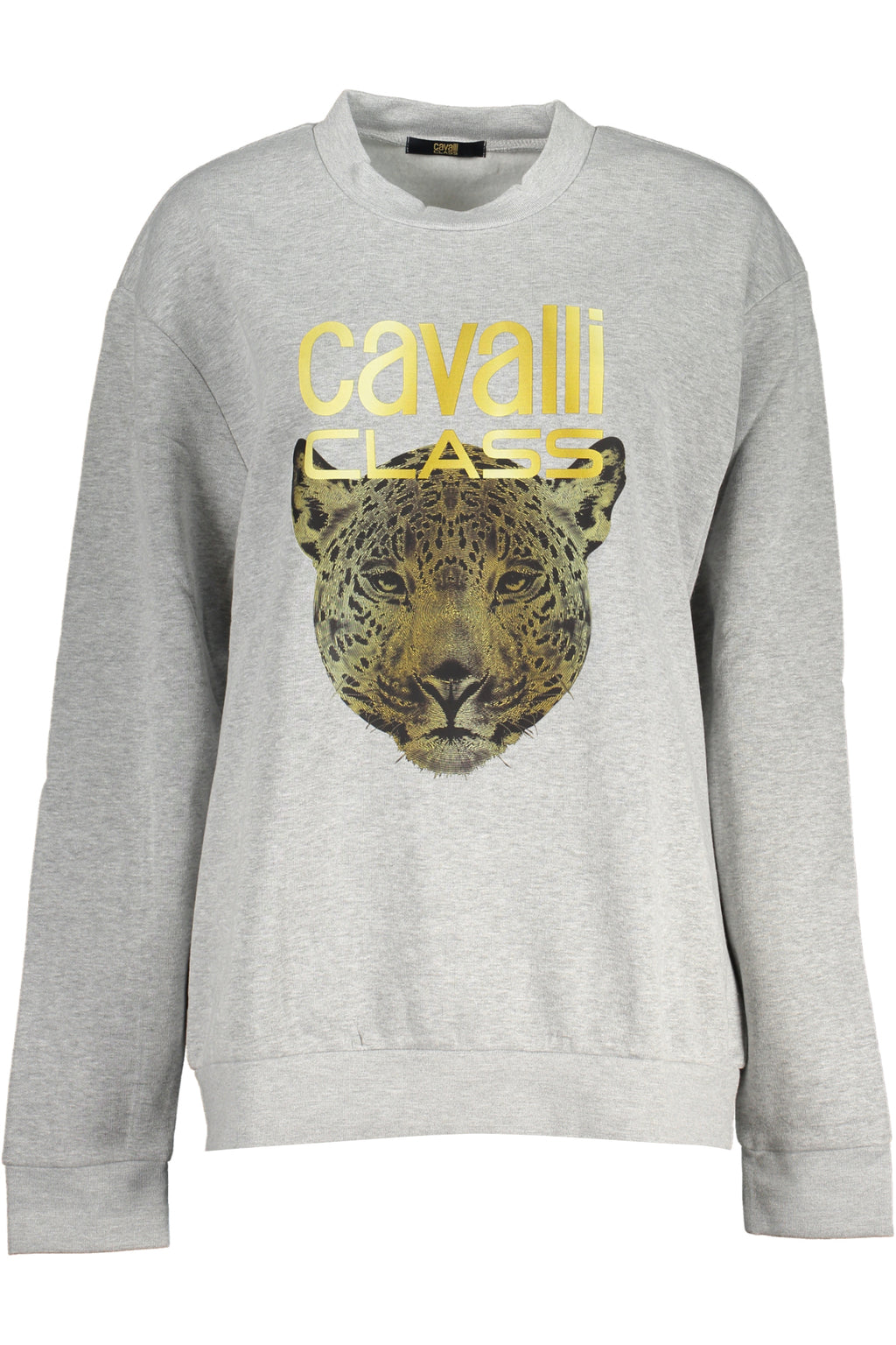 Felpa CAVALLI CLASS Grigio QXT67ZCF062