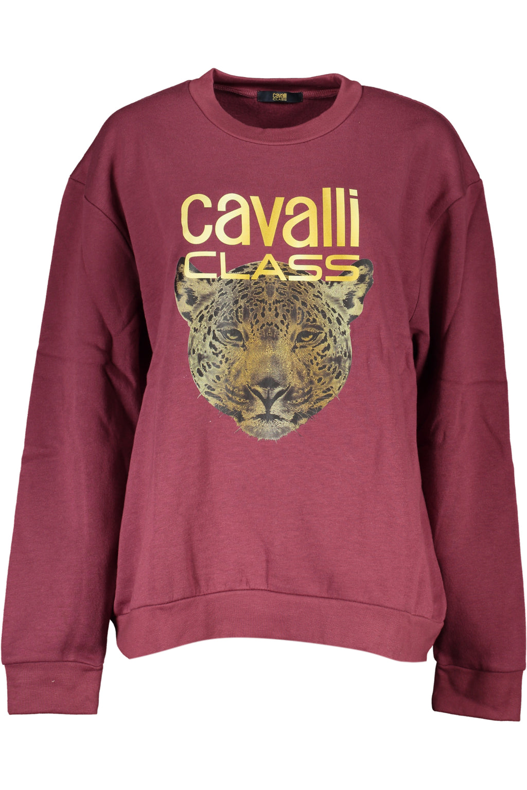 Felpa CAVALLI CLASS Viola QXT67ZCF062