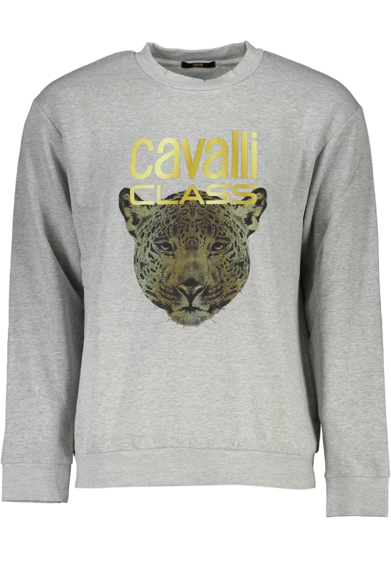Felpa CAVALLI CLASS Grigio QXT66BCF062