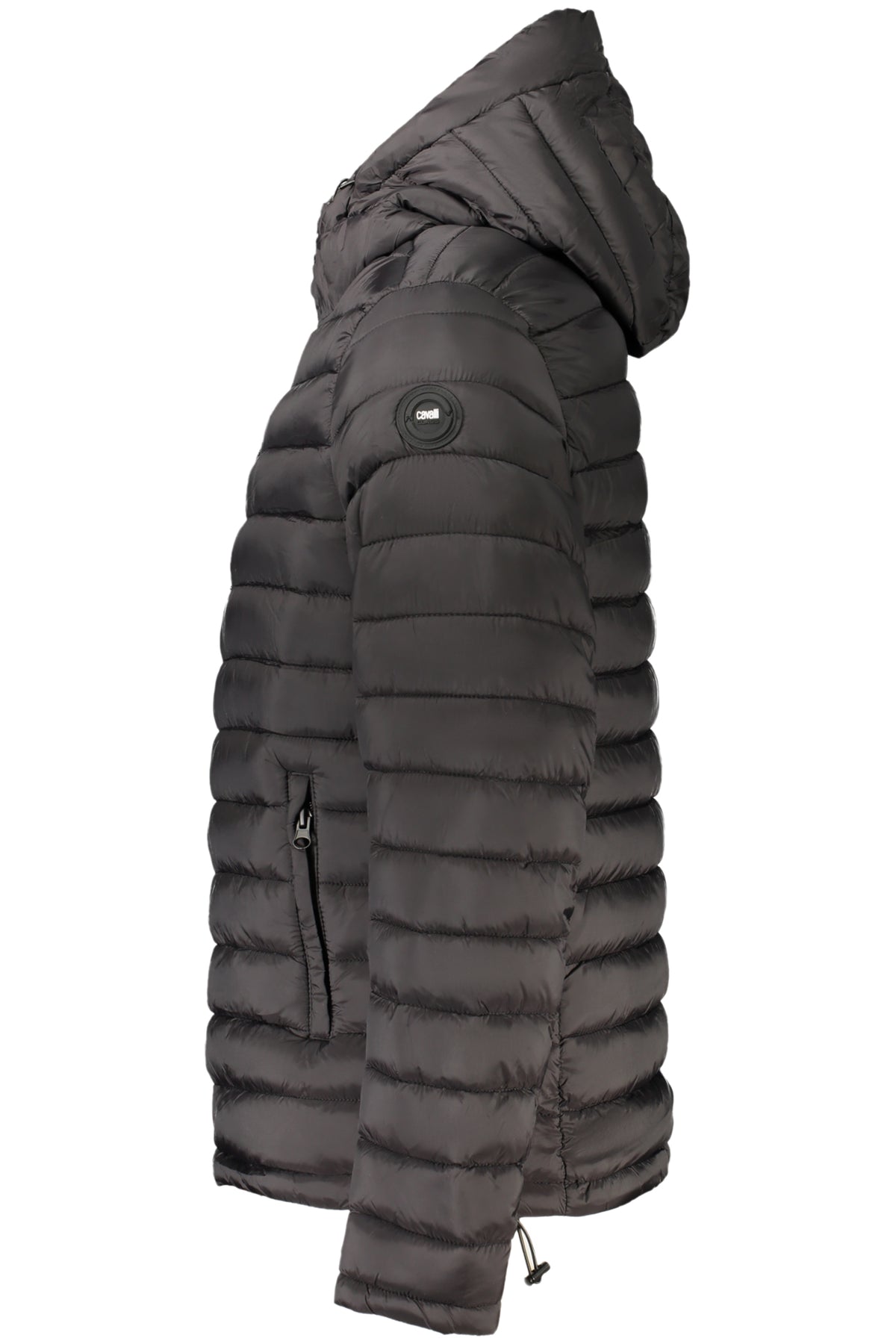 Giubbotto Cavalli Class Nero WXT40AFT035
