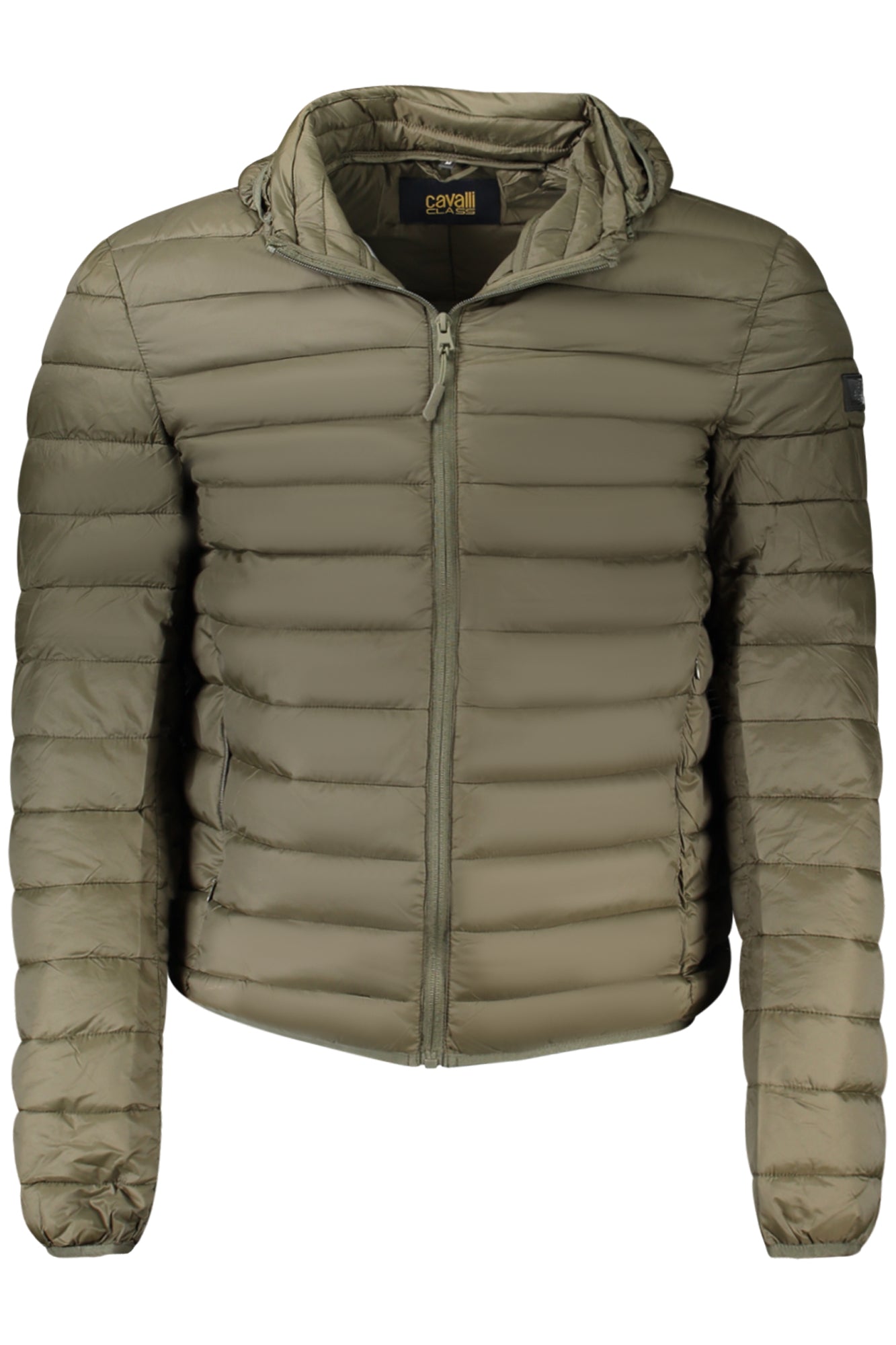 Giubbotto CAVALLI CLASS Verde TXT40TSB049