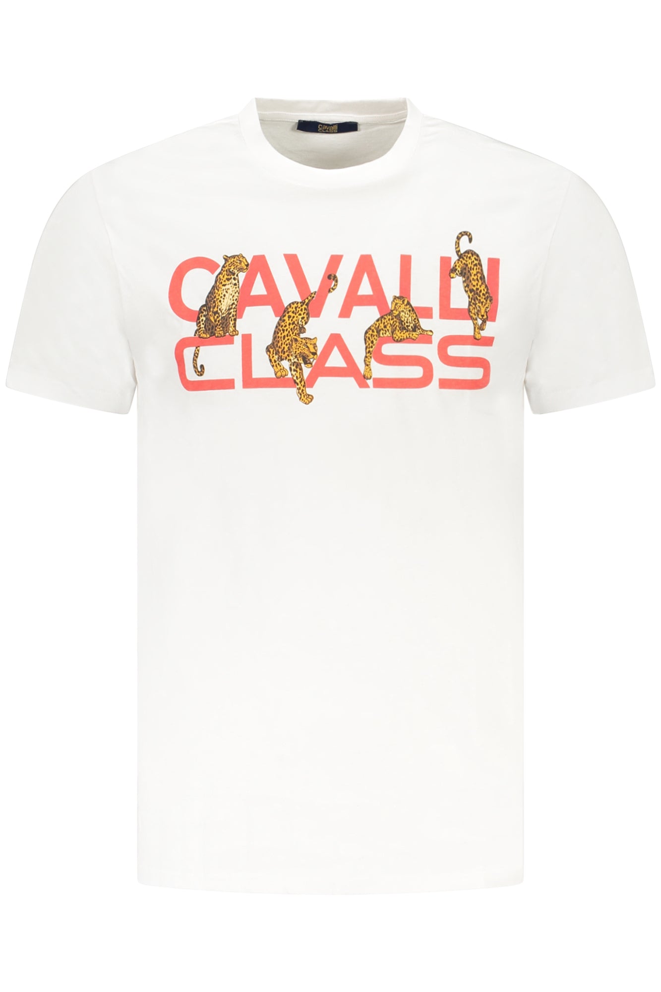 T-Shirt CAVALLI CLASS Bianco