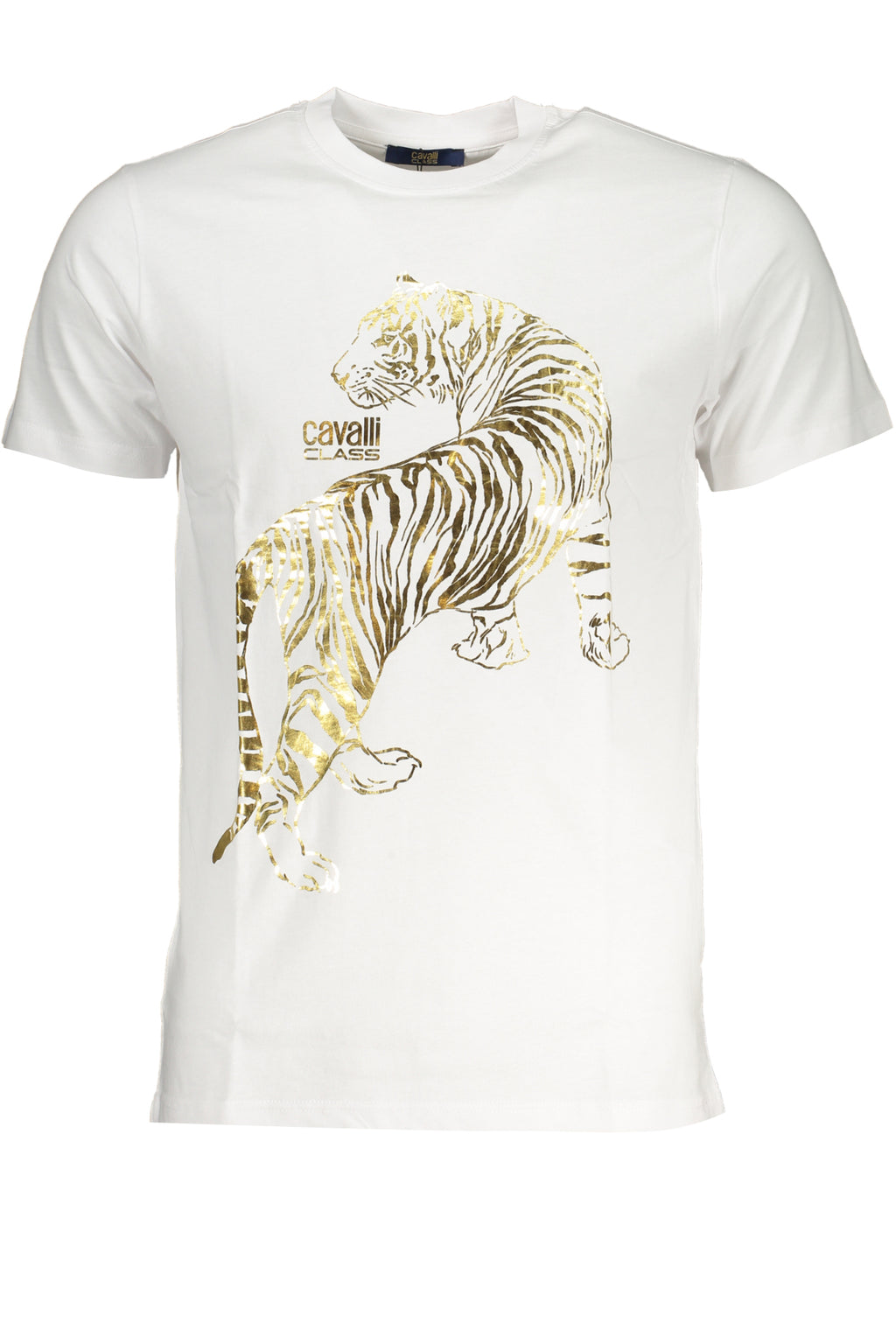 T-Shirt CAVALLI CLASS Bianco QXT62TJD060