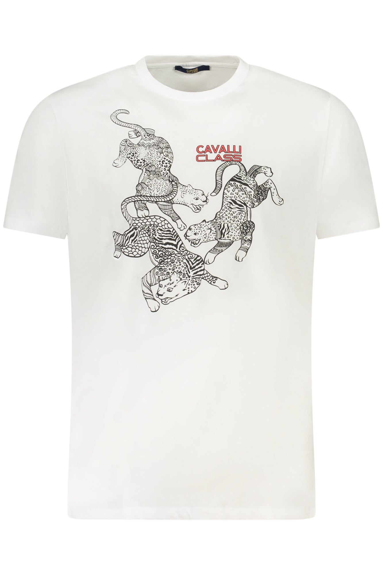 T-Shirt CAVALLI CLASS Bianco