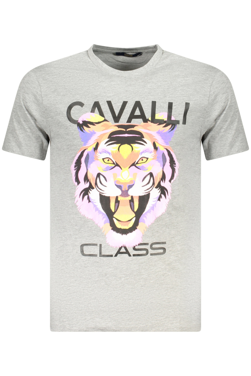 T-Shirt CAVALLI CLASS Grigio