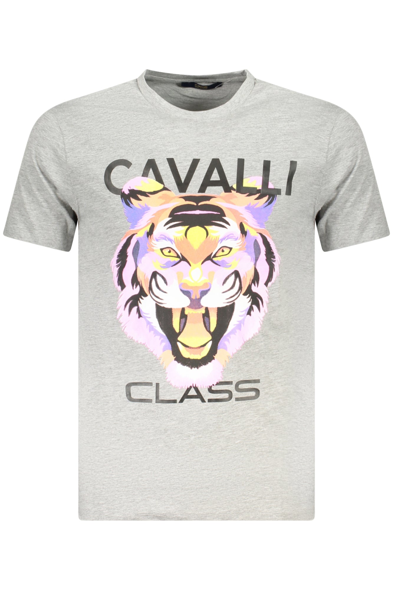 T-Shirt CAVALLI CLASS Grigio