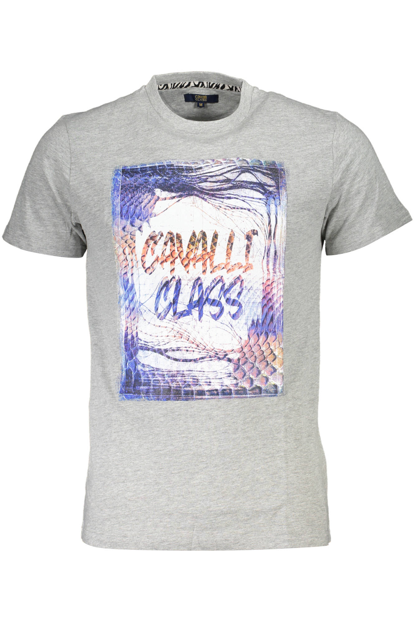 T-Shirt CAVALLI CLASS Grigio