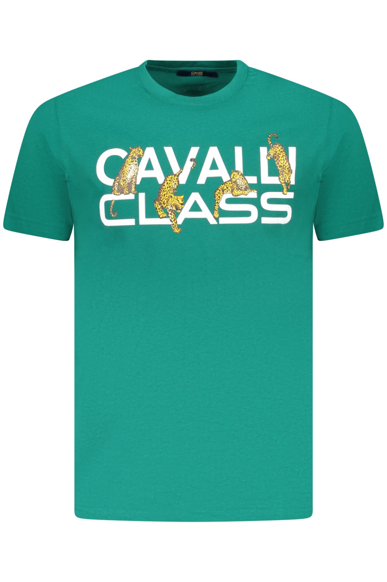 T-Shirt CAVALLI CLASS Verde