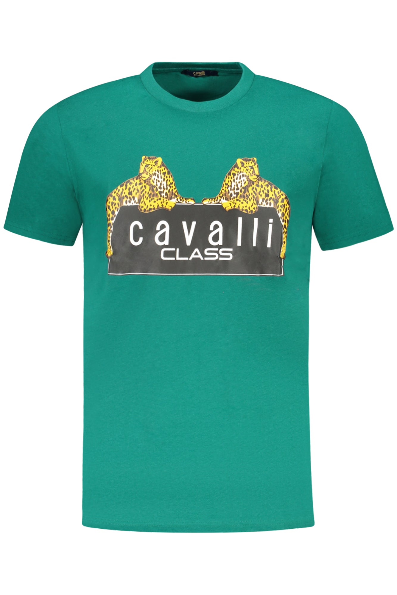 T-Shirt CAVALLI CLASS Verde