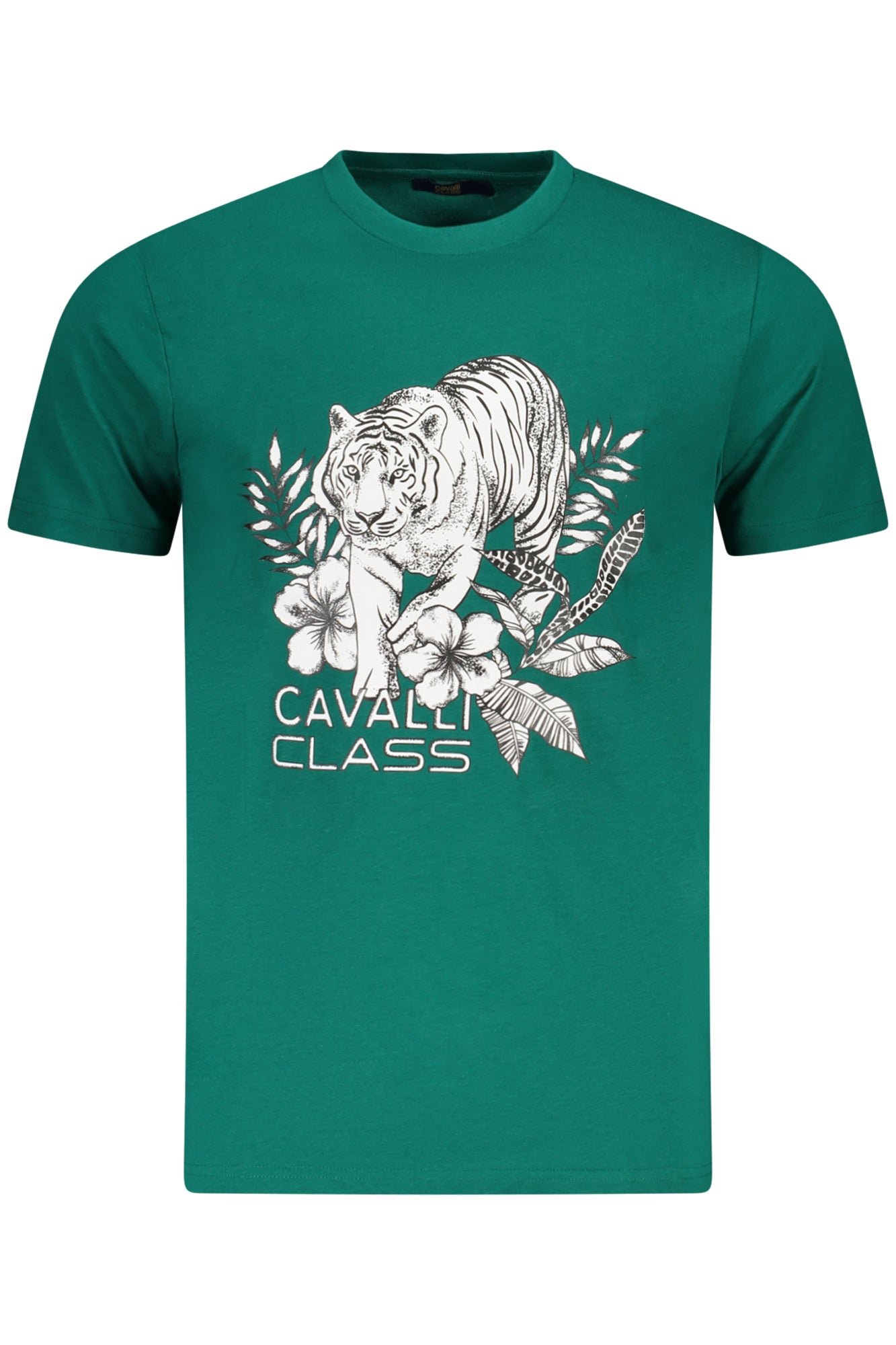 T-Shirt CAVALLI CLASS Verde
