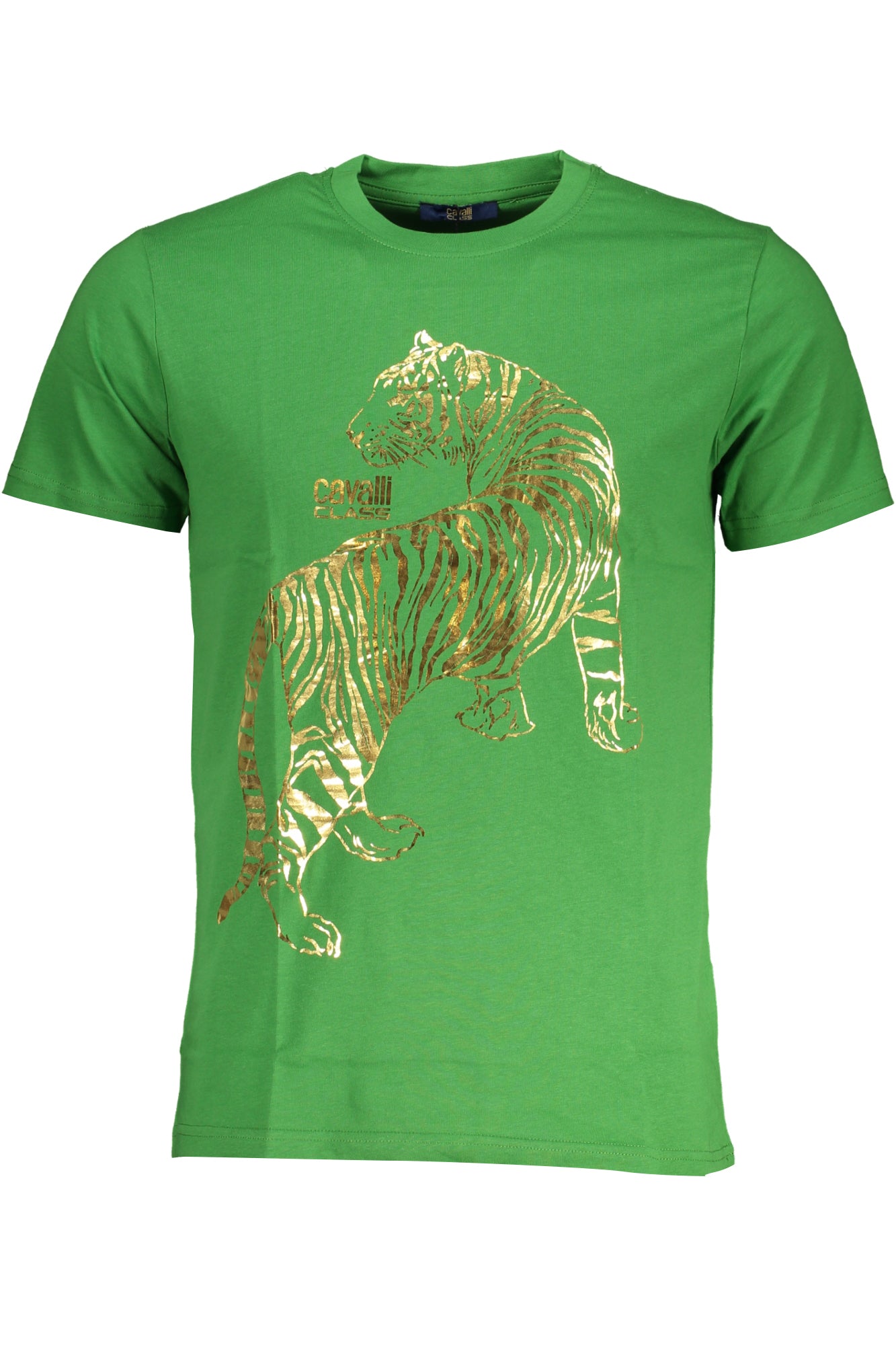 T-Shirt CAVALLI CLASS Verde