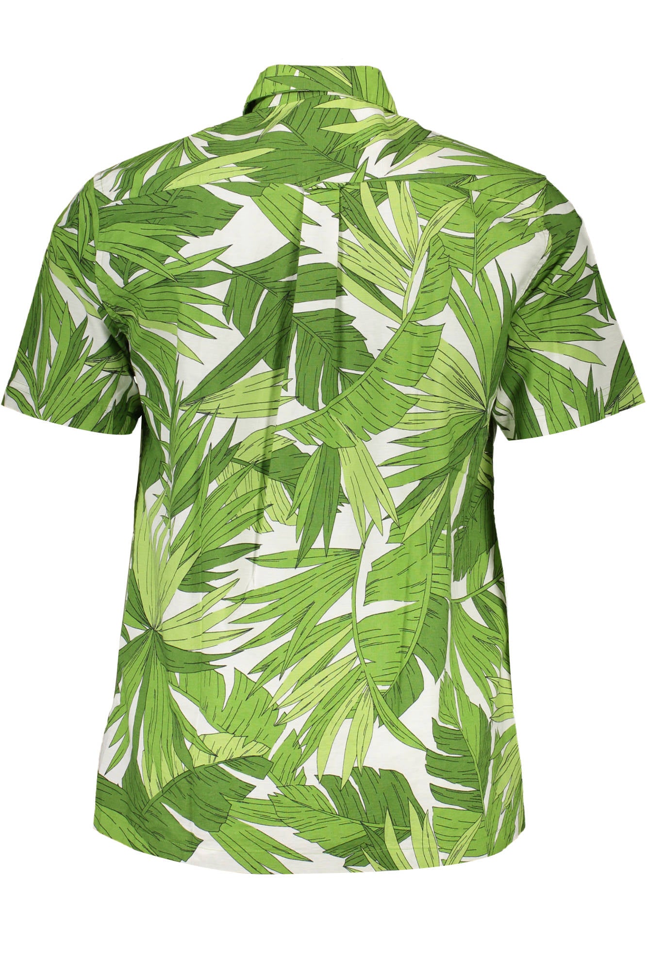 Camicia GANT Verde