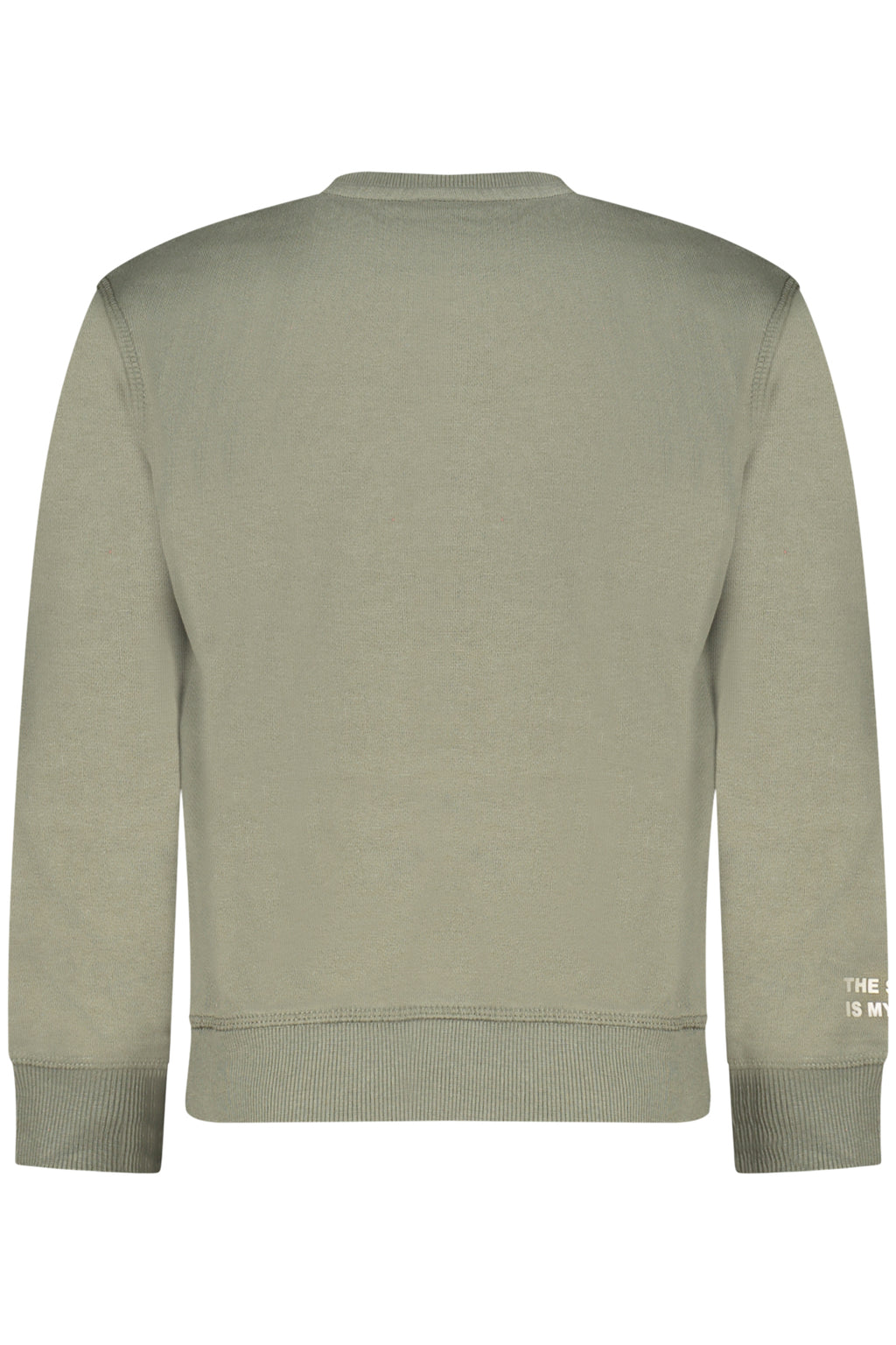 Felpa Bambino North Sails Verde 794477000