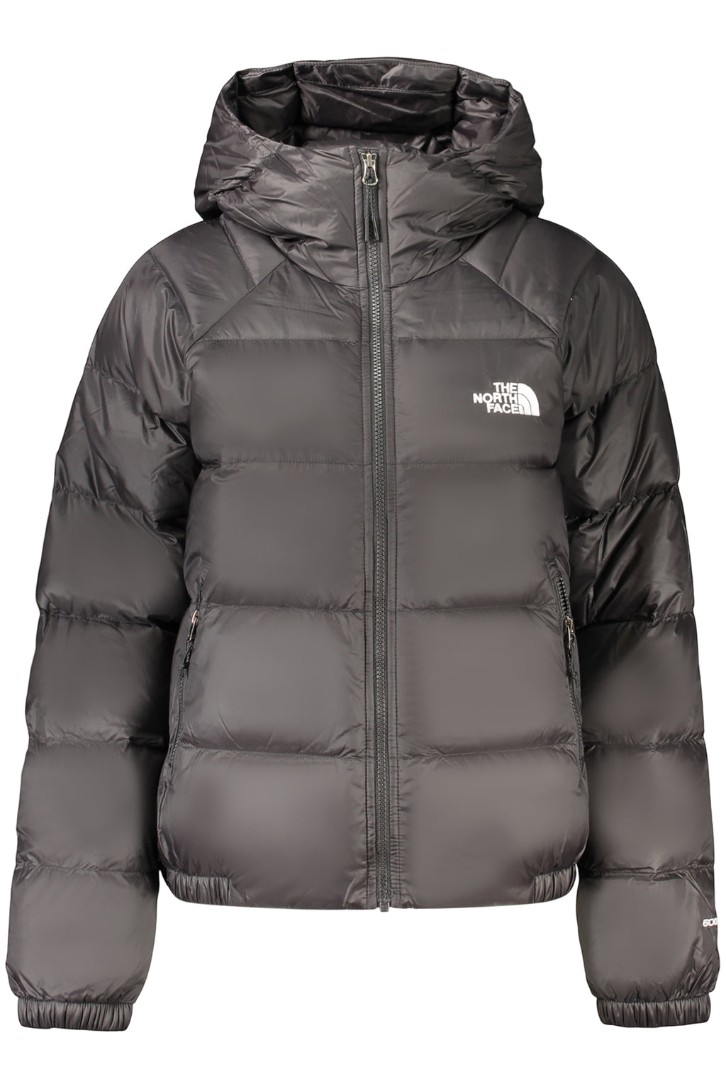 Giubbotto The North Face Nero NF0A5GGGWHYDRNDWN