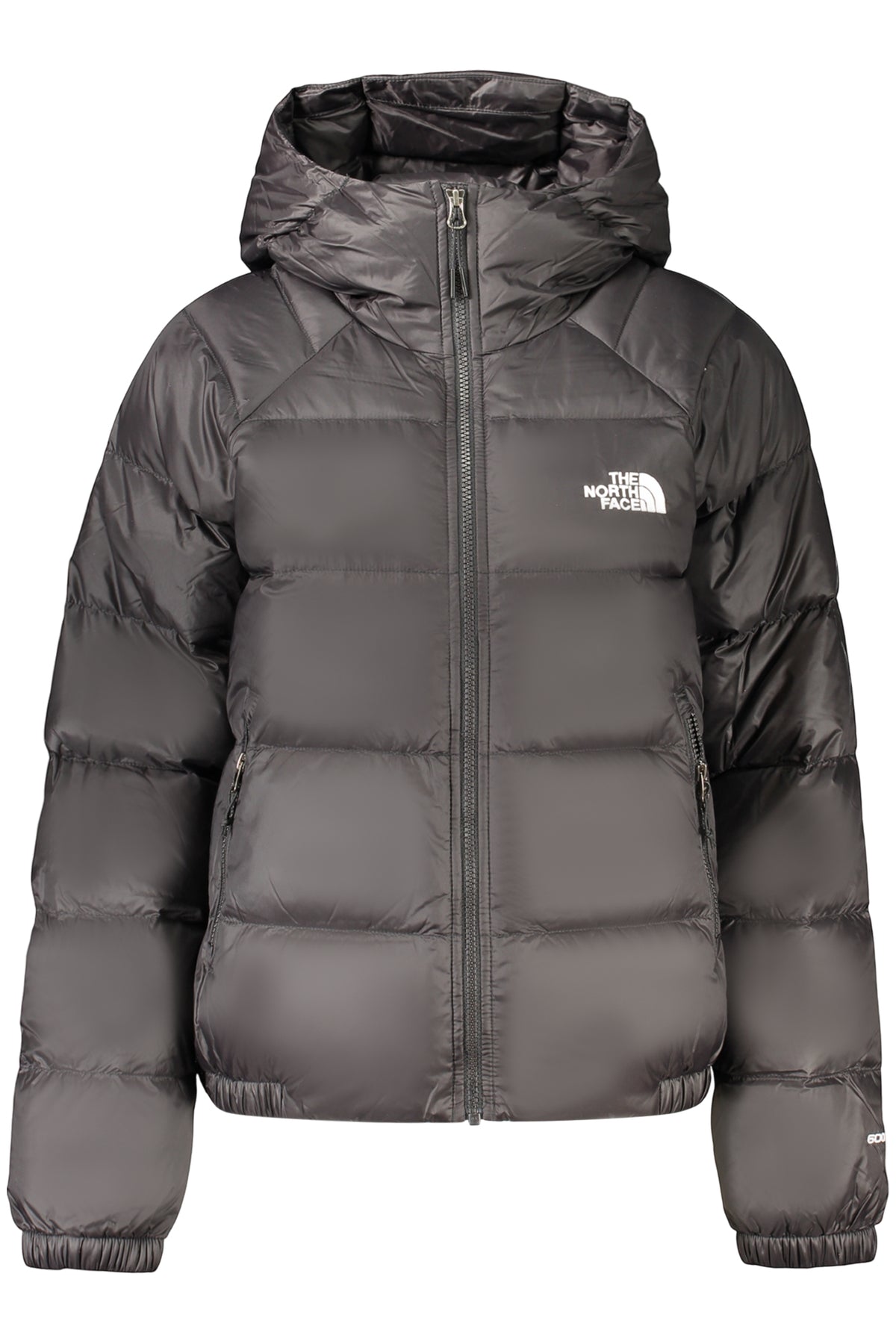 Giubbotto The North Face Nero NF0A5GGGWHYDRNDWN