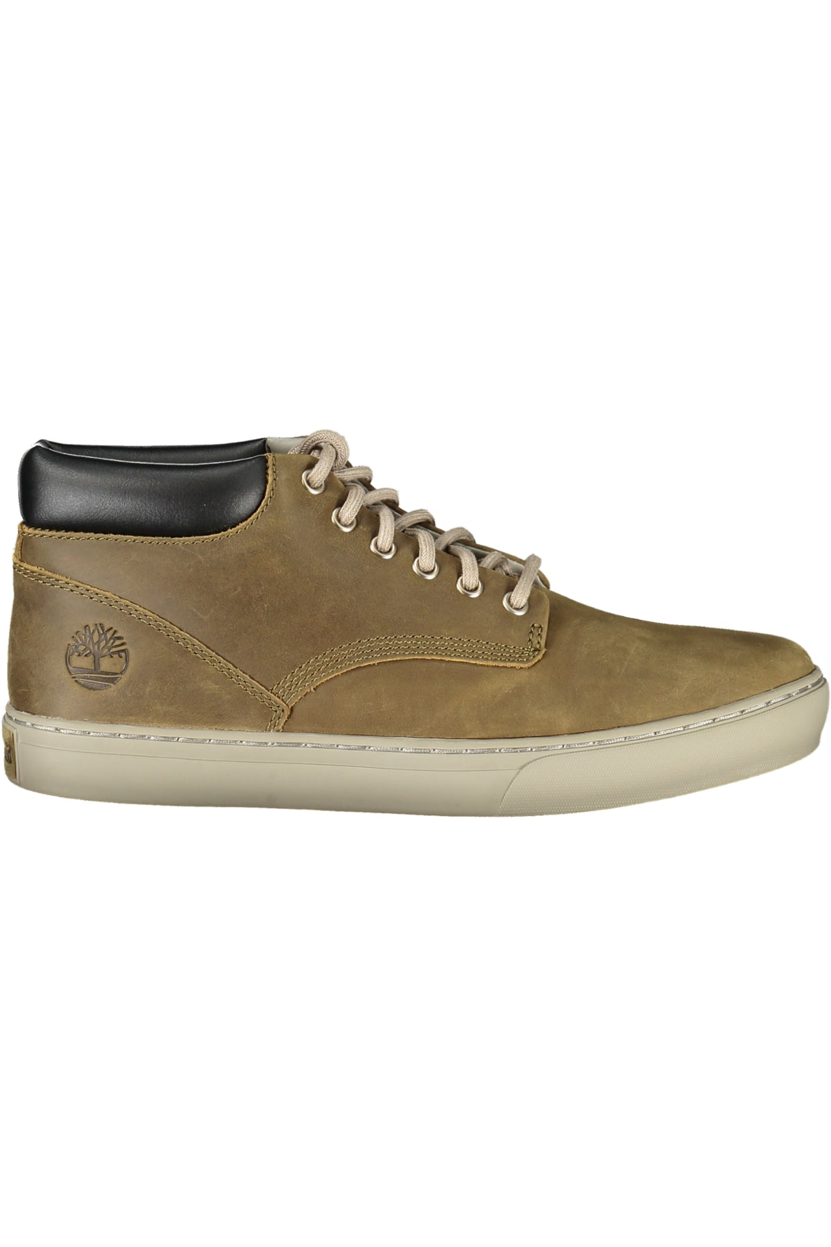 Sneakers Timberland Verde TB0A5S1V