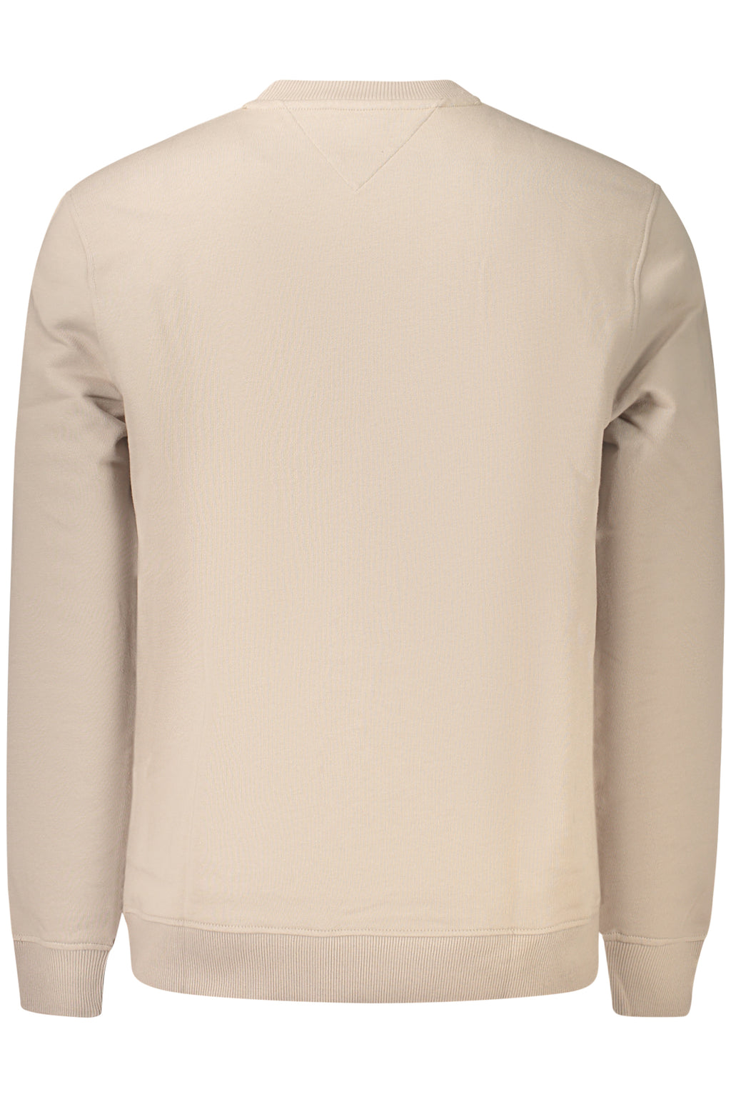 Felpa Tommy Hilfiger Beige DM0DM22643