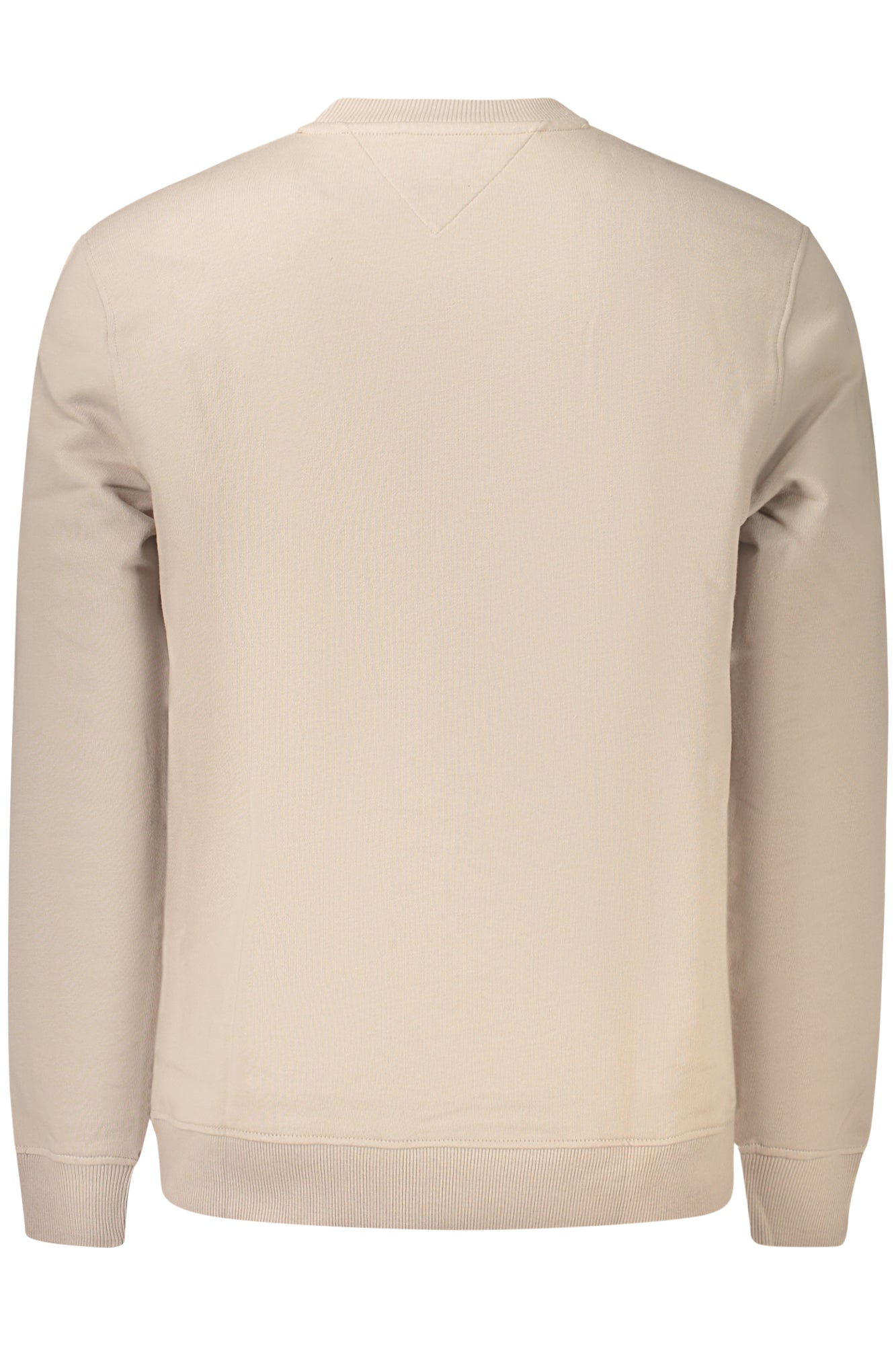 Felpa Tommy Hilfiger Beige DM0DM22643