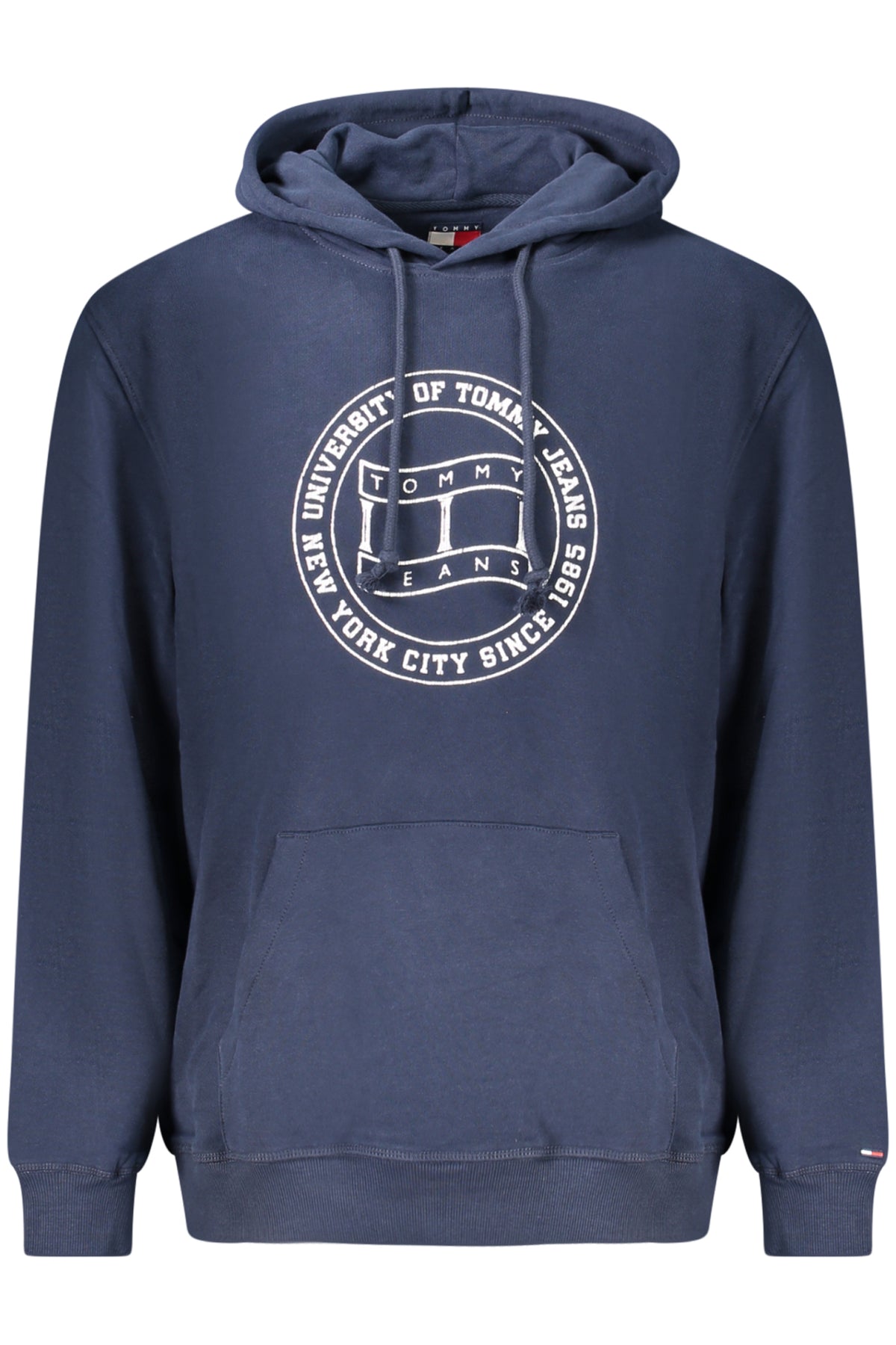 Felpa Tommy Hilfiger Blu DM0DM23579