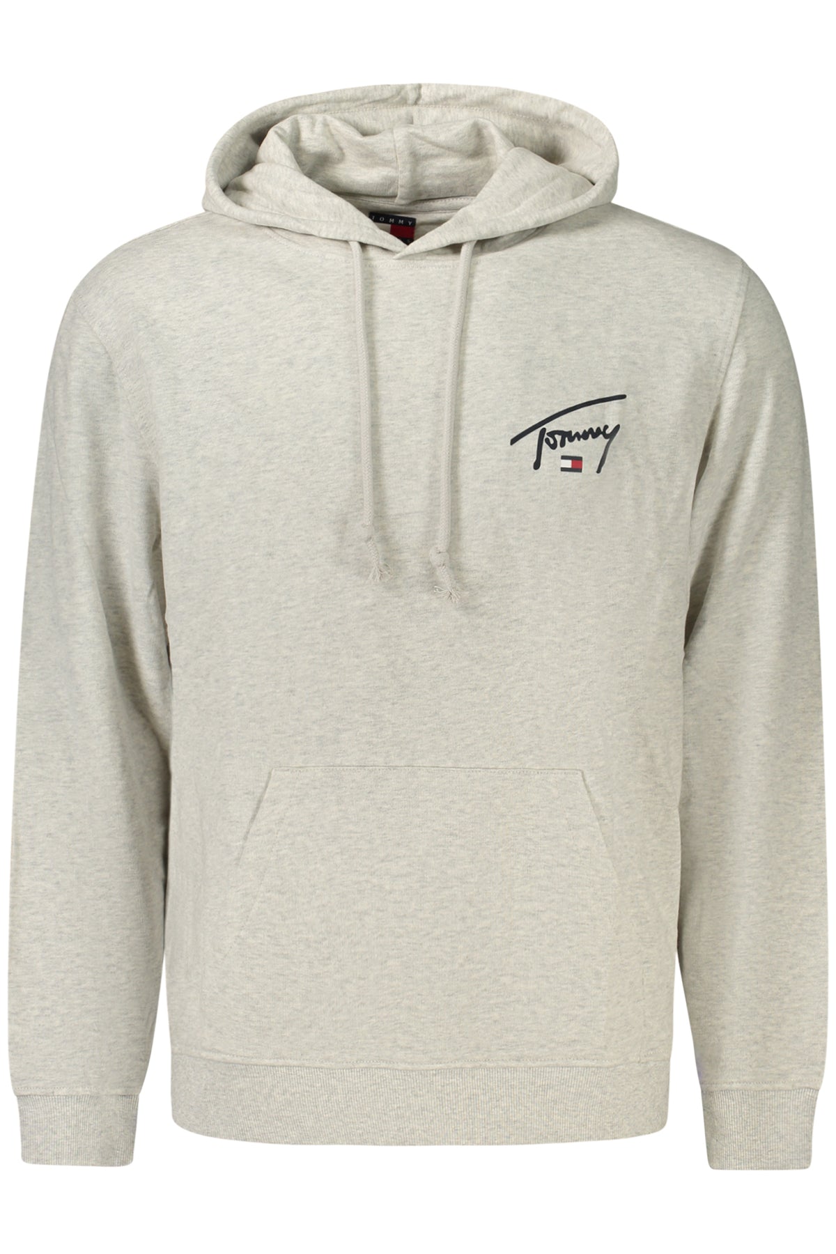 Felpa Tommy Hilfiger Grigio DM0DM23587