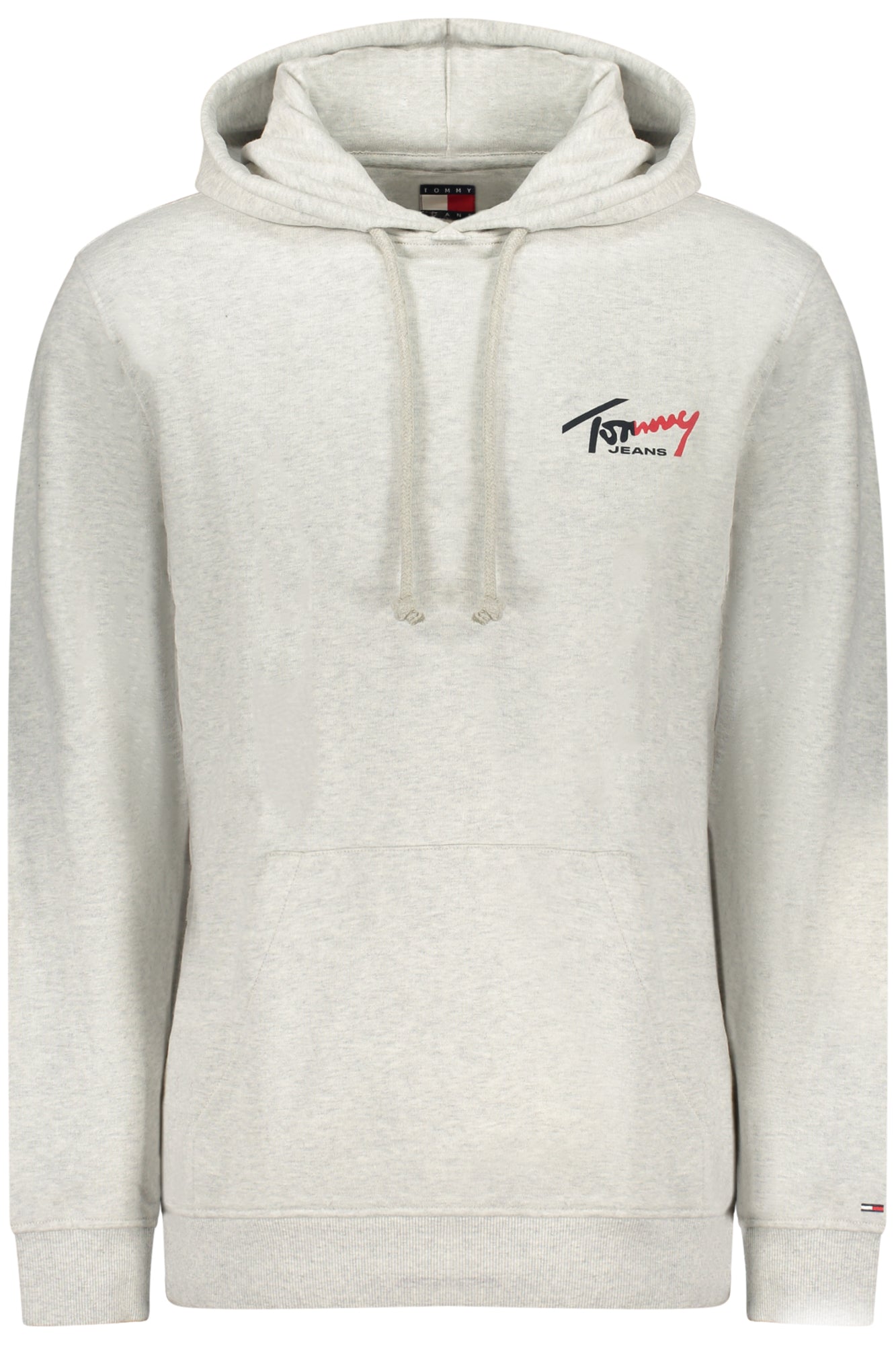 Felpa TOMMY HILFIGER Grigio DM0DM22680