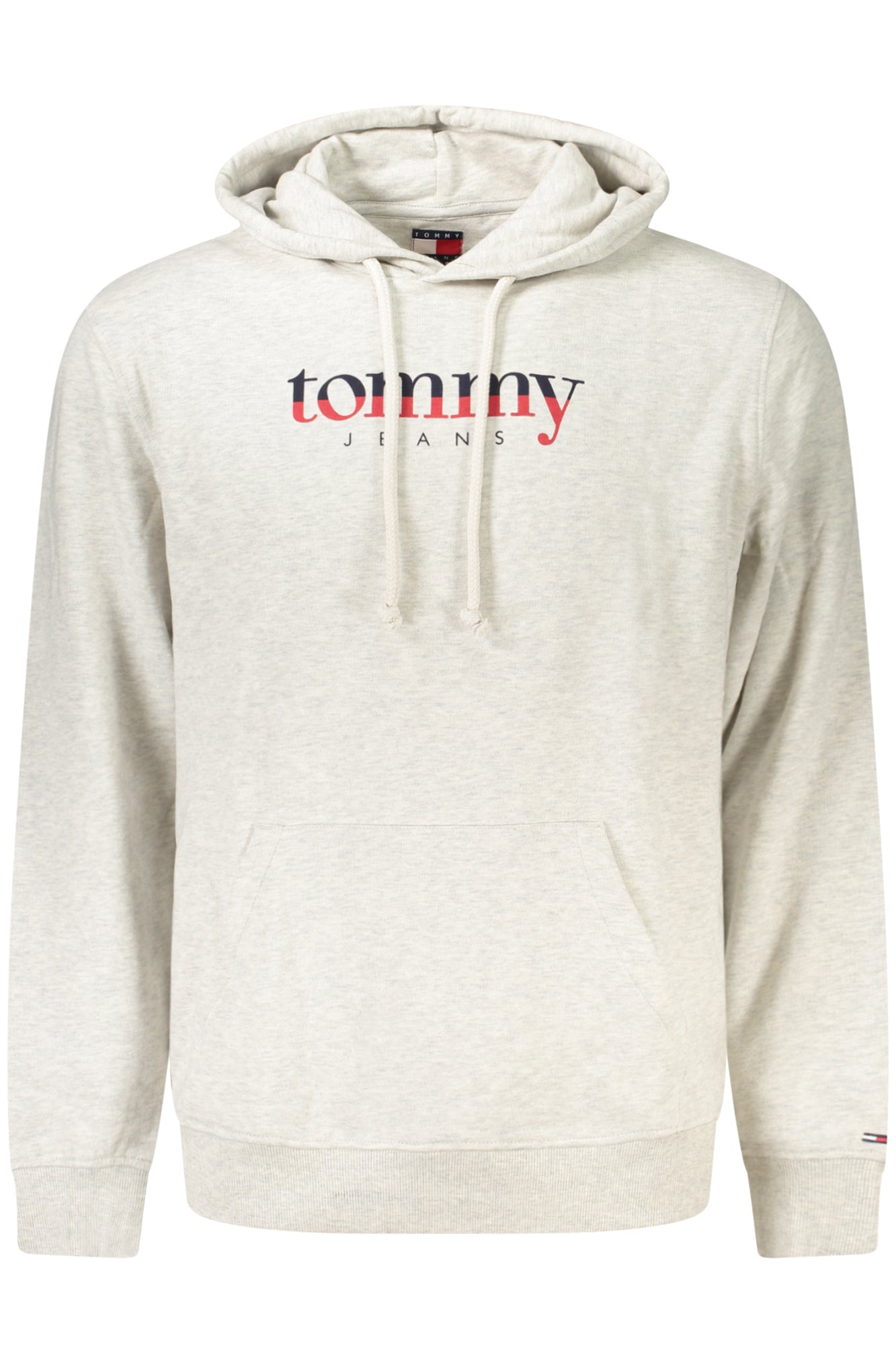 Felpa TOMMY HILFIGER Grigio DM0DM22113