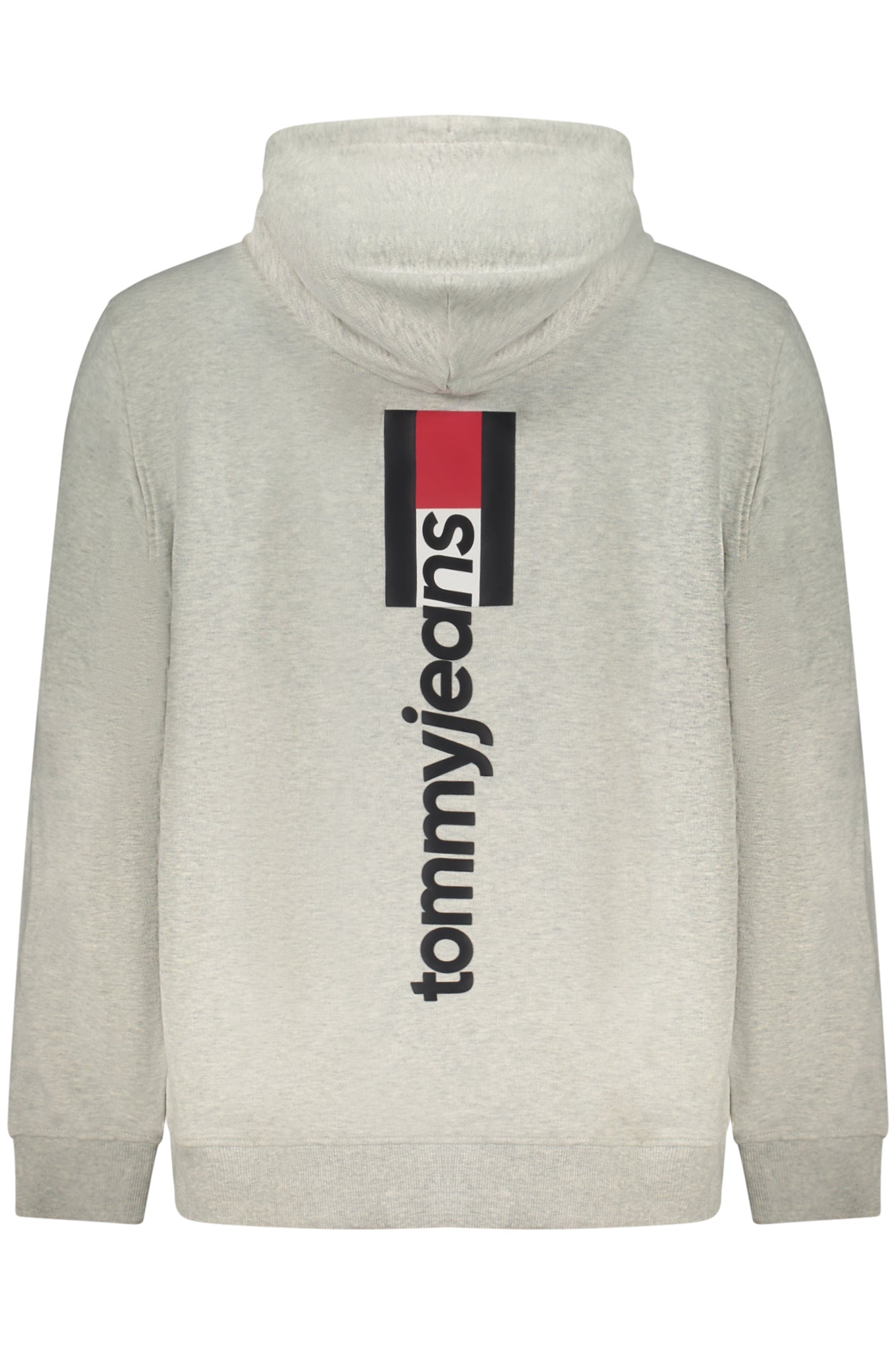 Felpa TOMMY HILFIGER Grigio DM0DM23393