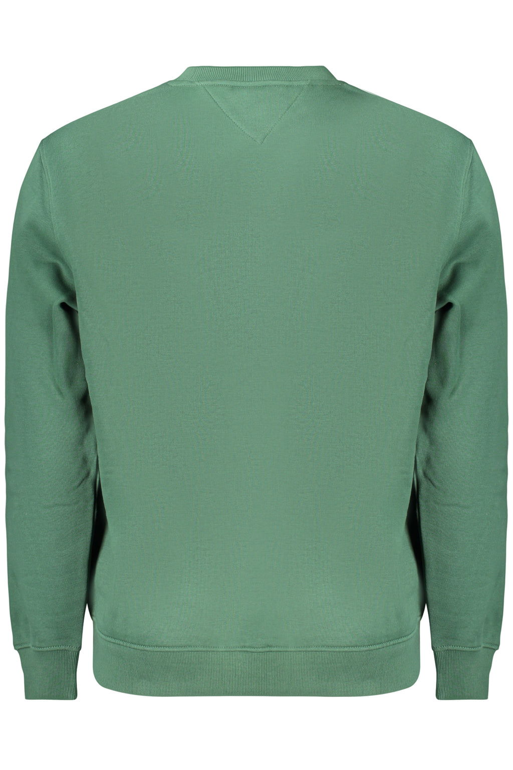 Felpa Tommy Hilfiger Verde DM0DM20249