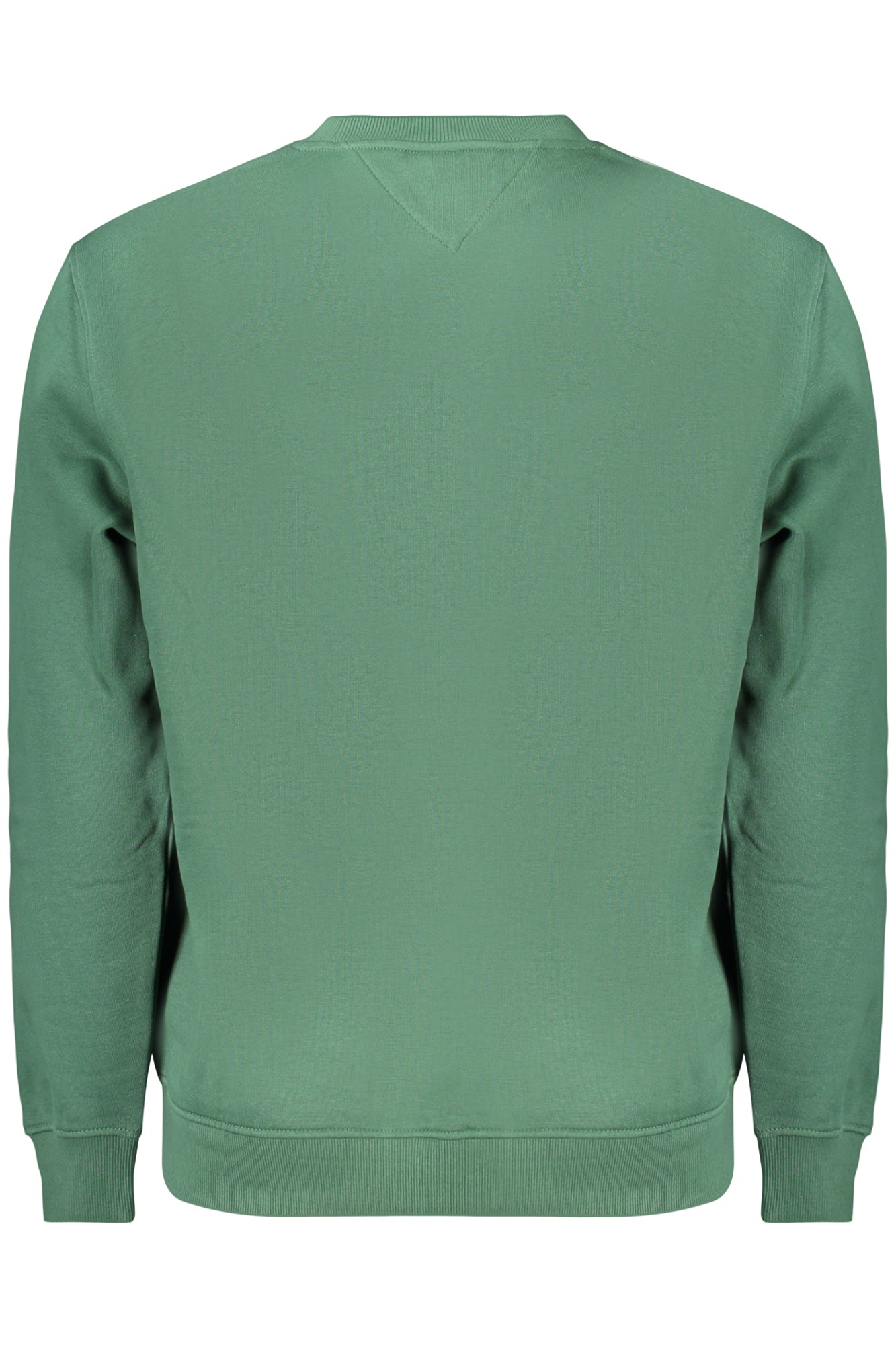 Felpa Tommy Hilfiger Verde DM0DM20249