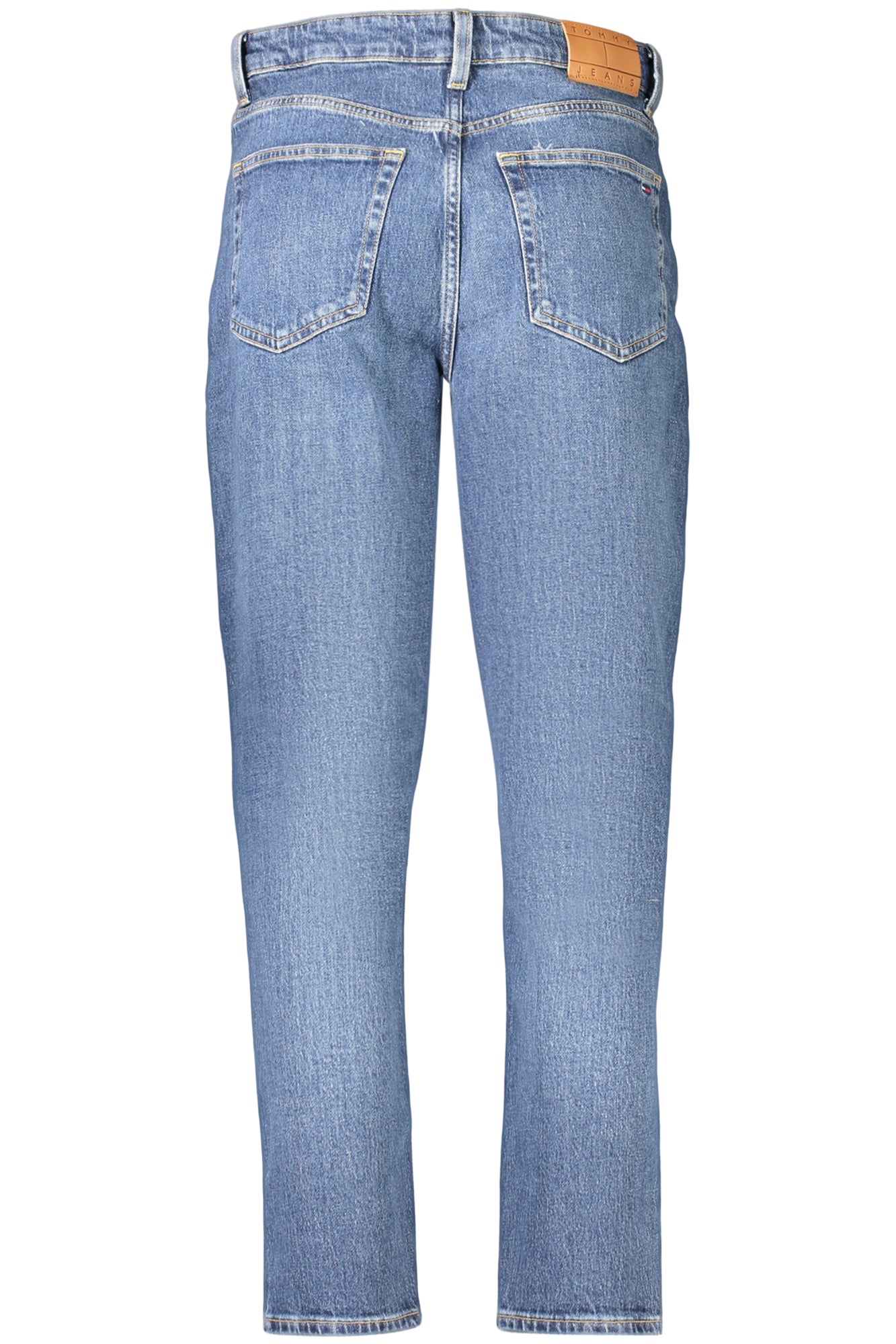 Jeans Tommy Hilfiger Blu DW0DW23513