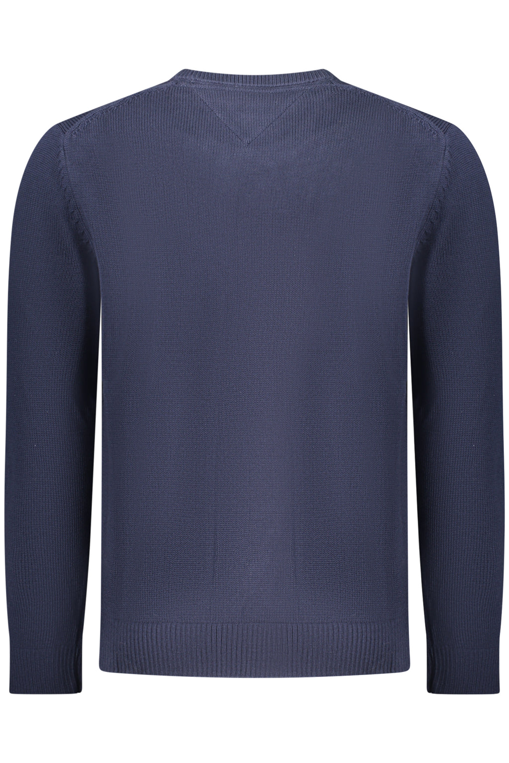 Maglia Tommy Hilfiger Blu DM0DM21787